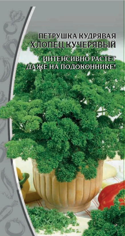 Хлопец кучерявый