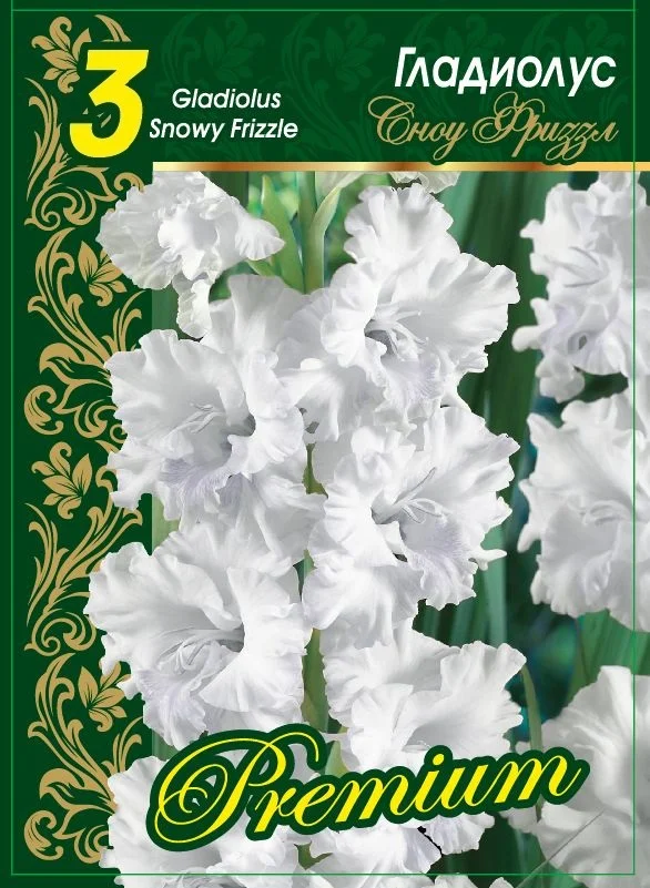 Сноуи Фриззл