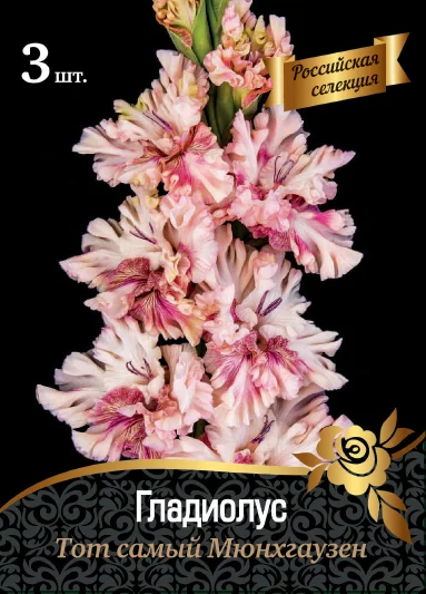 Тот самый Мюнхгаузен