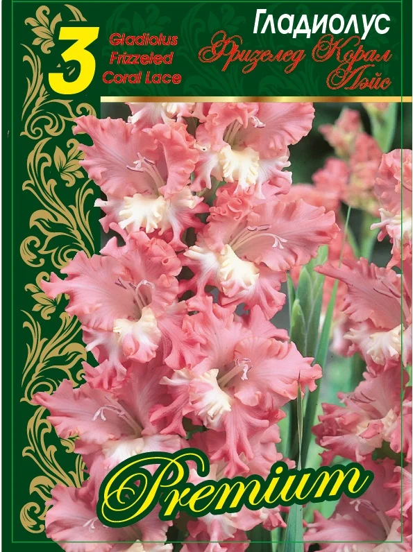 Фризлд Корал Лейс