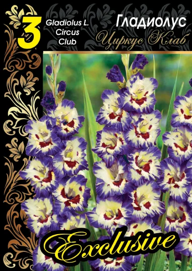 Циркус Клаб