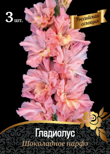 Шоколадное Парфэ