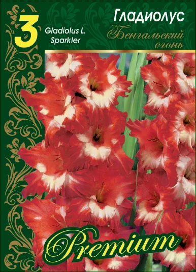 Бенгальский Огонь