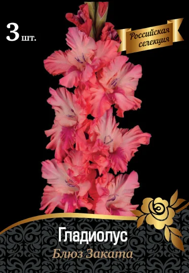 Блюз Заката