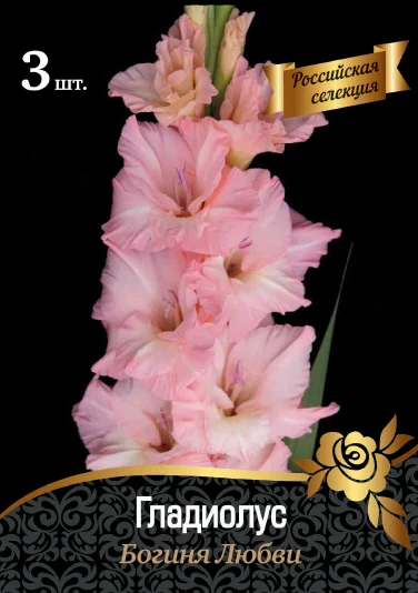 Богиня Любви