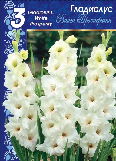 Вайт Просперити