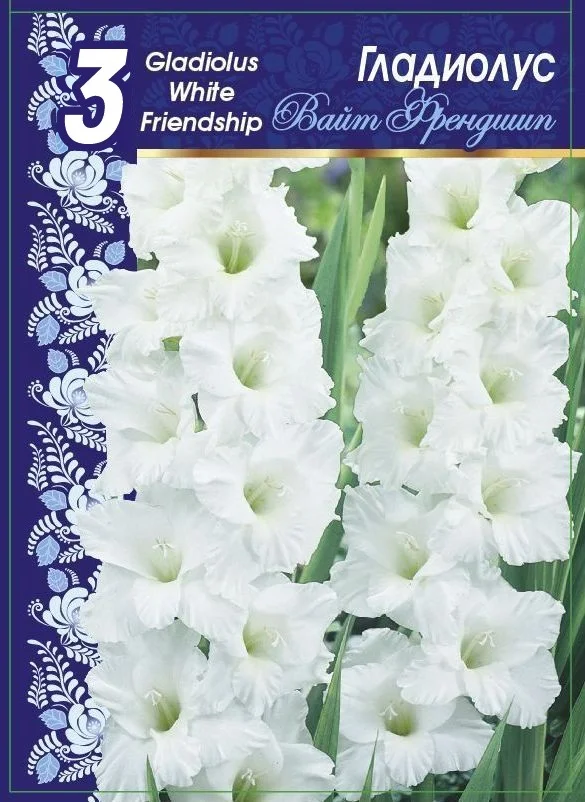 Вайт Френдшип