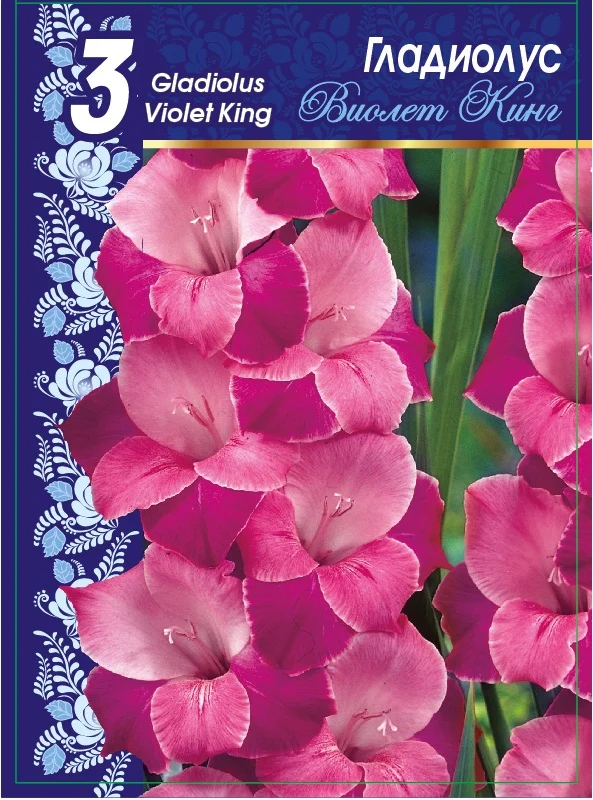 Виолет Кинг