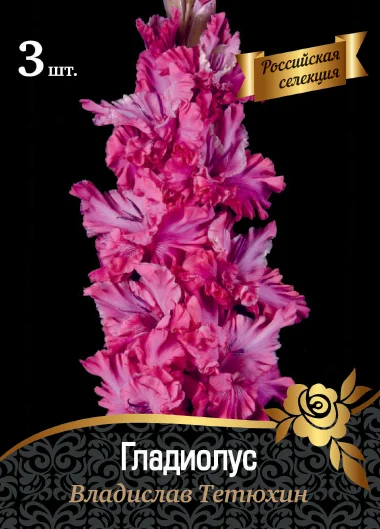 Владислав Тетюхин