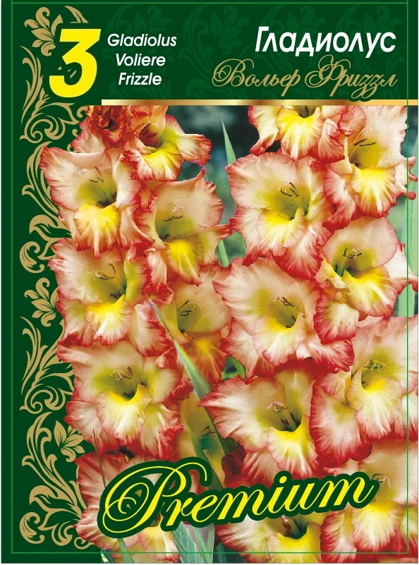 Вольер Фриззл