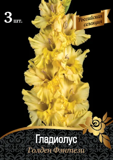 Голден Фэнтэзи