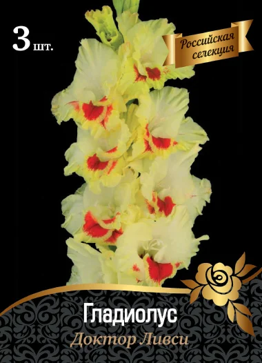 Доктор Ливси