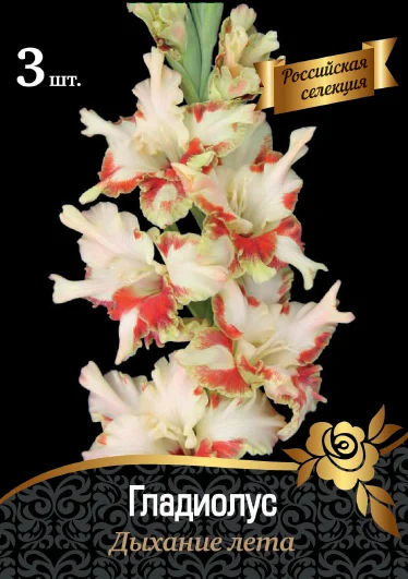 Дыхание Лета