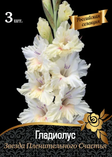 Звезда Пленительного Счастья