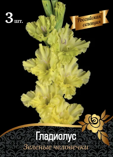 Зеленые Человечки