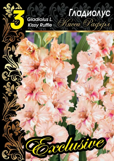 Кисси Раффл