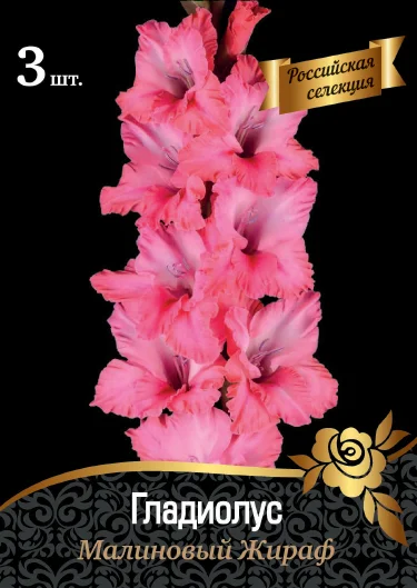 Малиновый Жираф