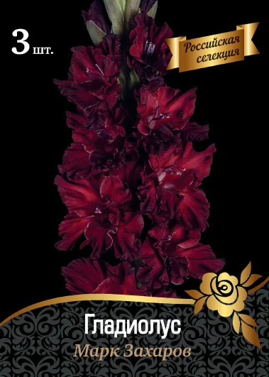 Марк Захаров