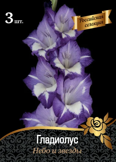 Небо и Звезды