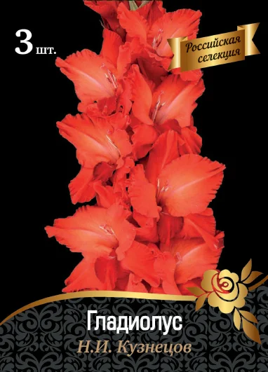 НИ Кузнецов