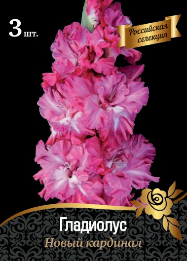 Новый Кардинал