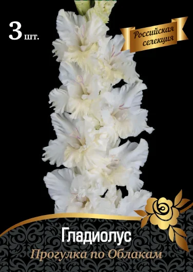 Прогулка по облакам