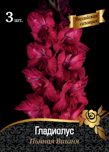 Пьяная Вишня