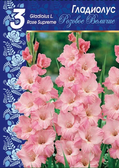 Розовое Величие