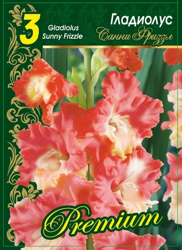 Санни Фризл