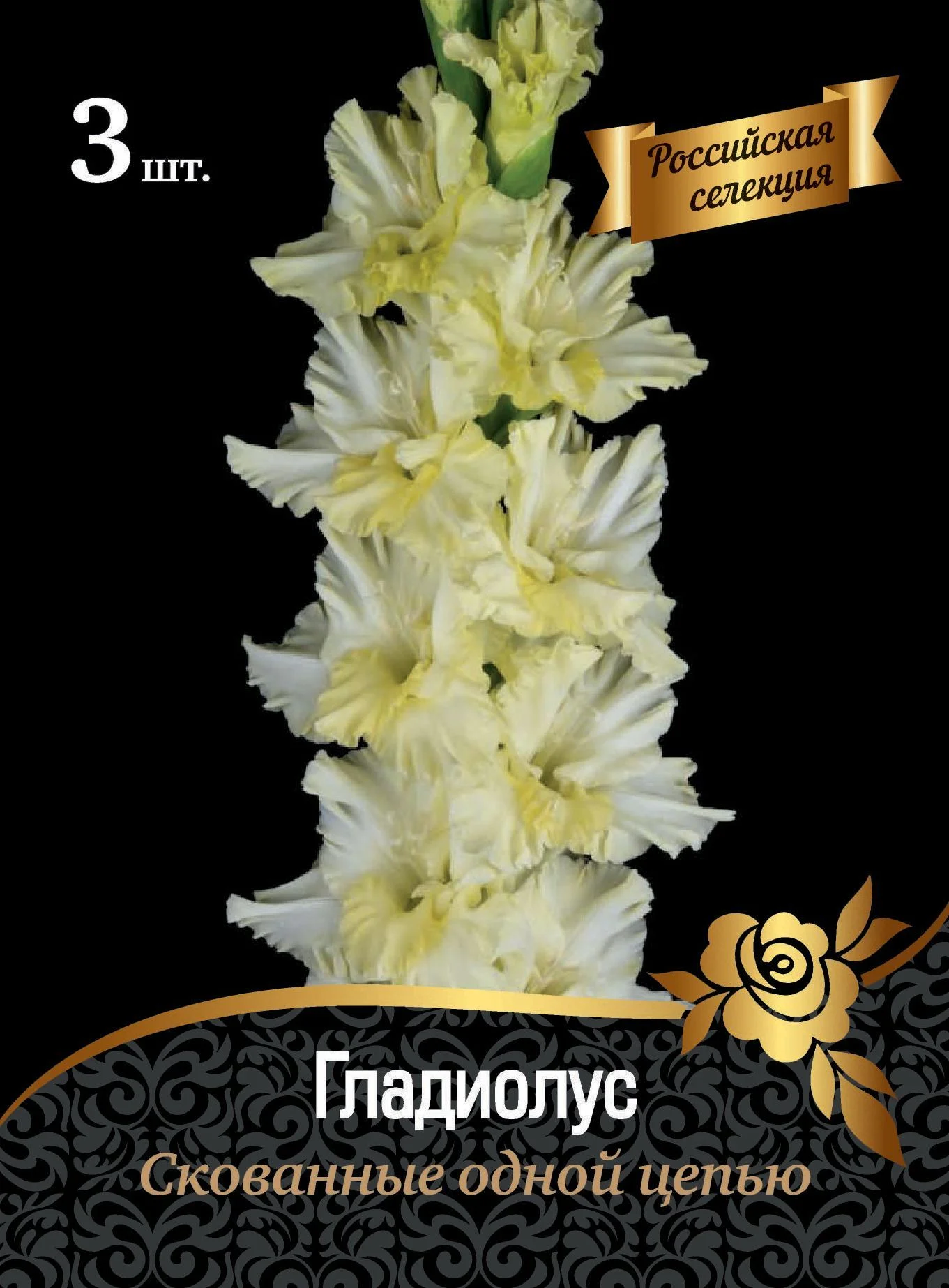 Скованные одной цепью