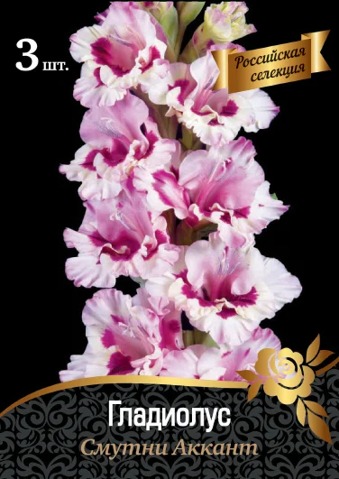 Смутти Аккант