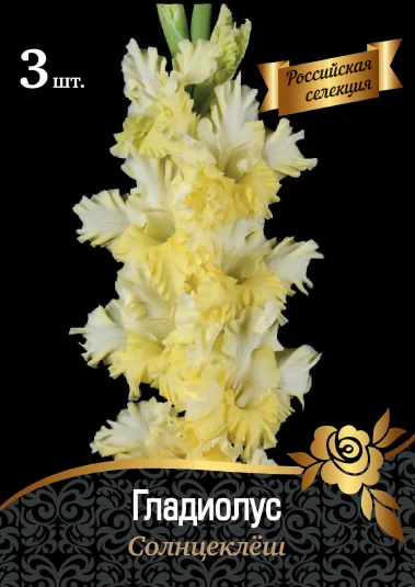 Солнцеклёш