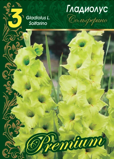 Сольферино