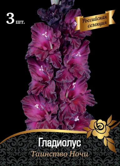 Таинство ночи