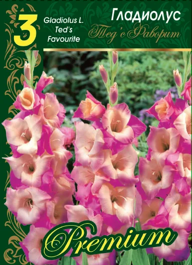 Тедс Фаворит