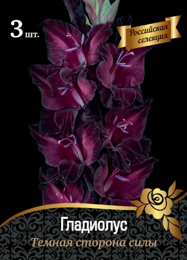 Темная Сторона Силы