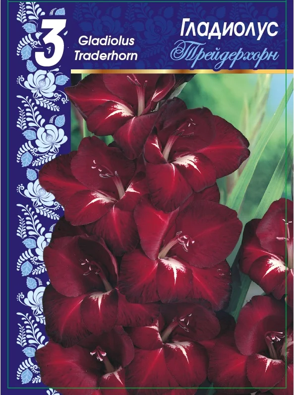 Трейдерхорн