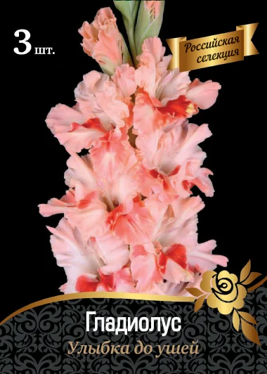 Улыбка до ушей