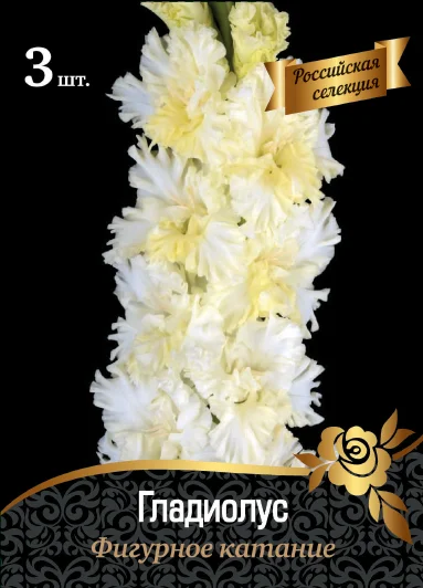 Фигурное катание