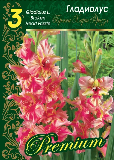 Брокен Харт Фриззл