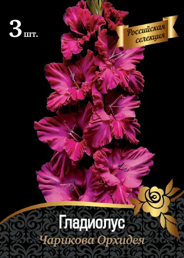 Чарикова Орхидея