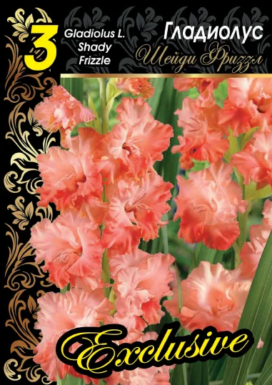 Шейди Фриззл