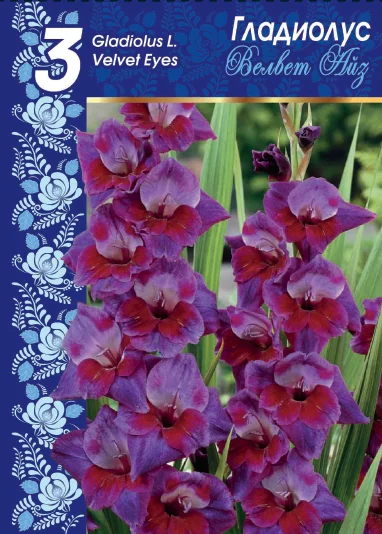 Вельвет Айз