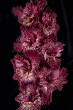 Гиперпространство