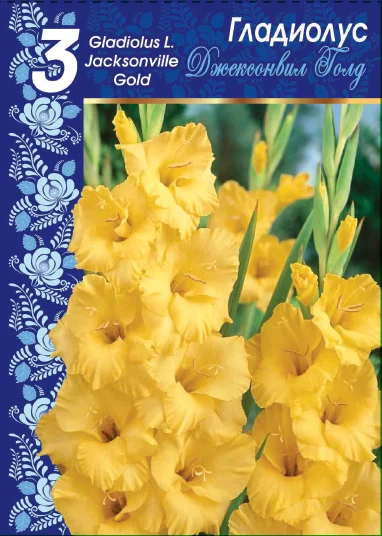 Джексонвилл Голд