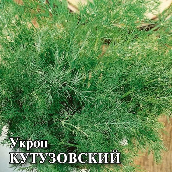 Кутузовский
