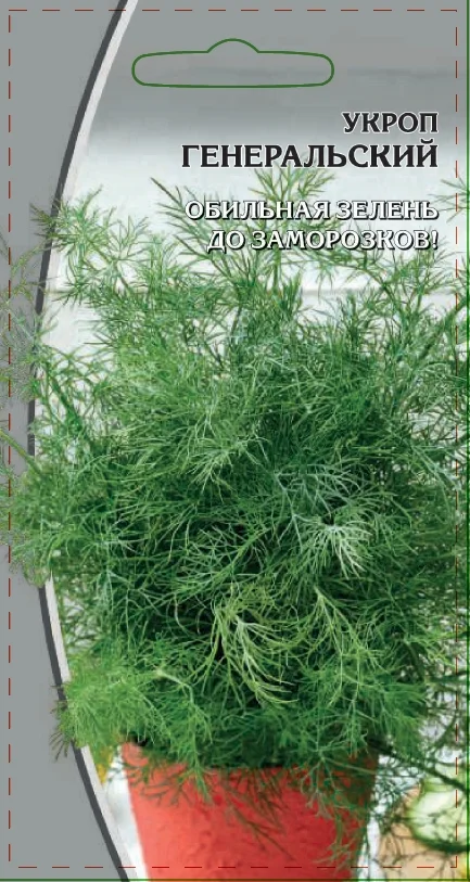 Генеральский