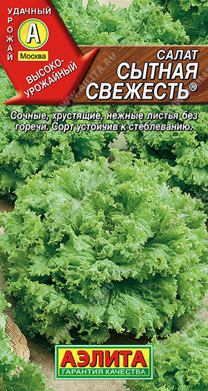 Сытная свежесть листовой