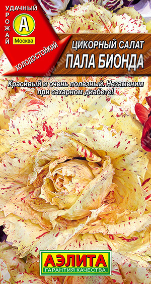 Цикорный Пала Бионда