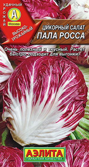 Цикорный Пала Росса
